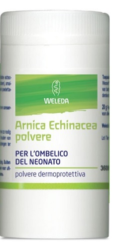 Arnica echinacea polvere 20g Arnica echinacea polvere 20g