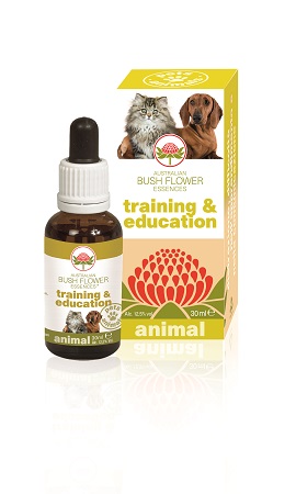 Australian Bush Flower Training & Education Memorizzazione e Coordinazione Fiori Australiani per Animali