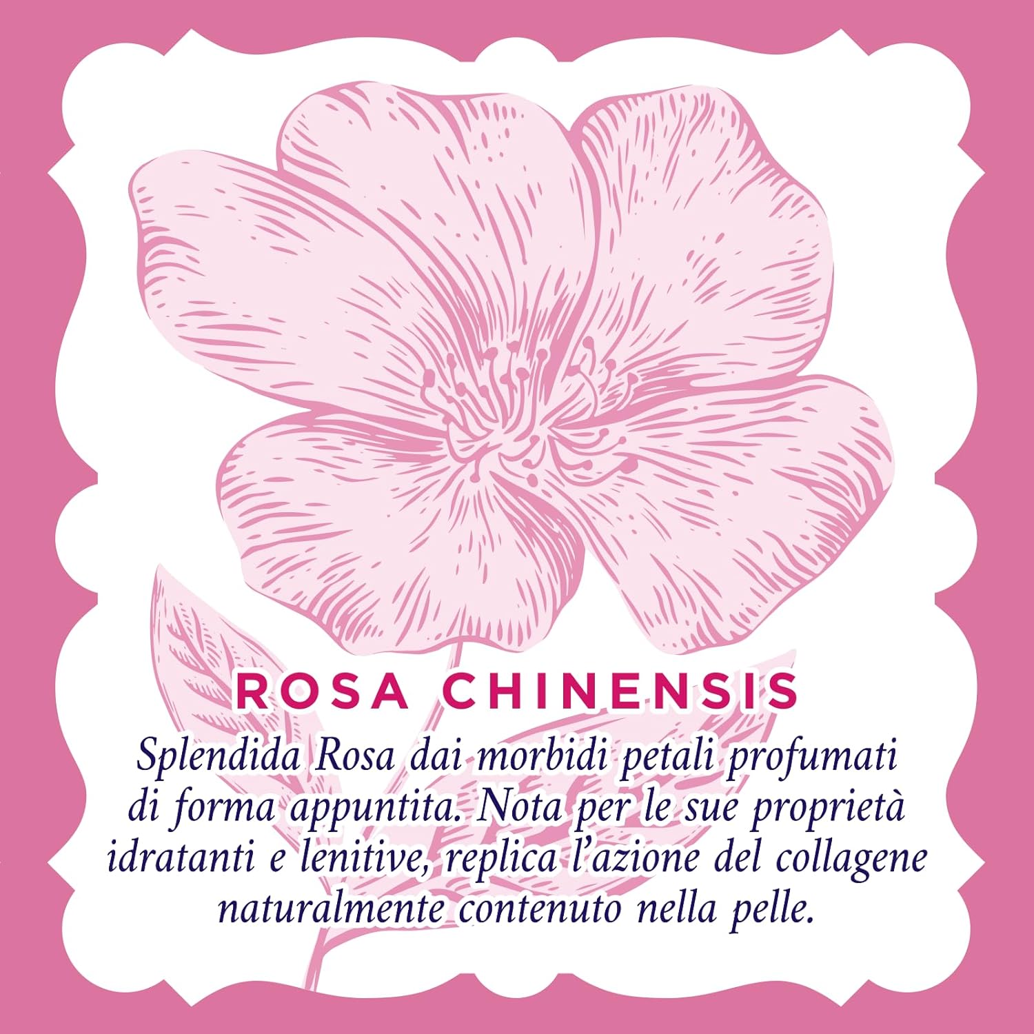 Acqua Alle Rose - 20 Salviettine Lenitive Per Pelli Sensibili