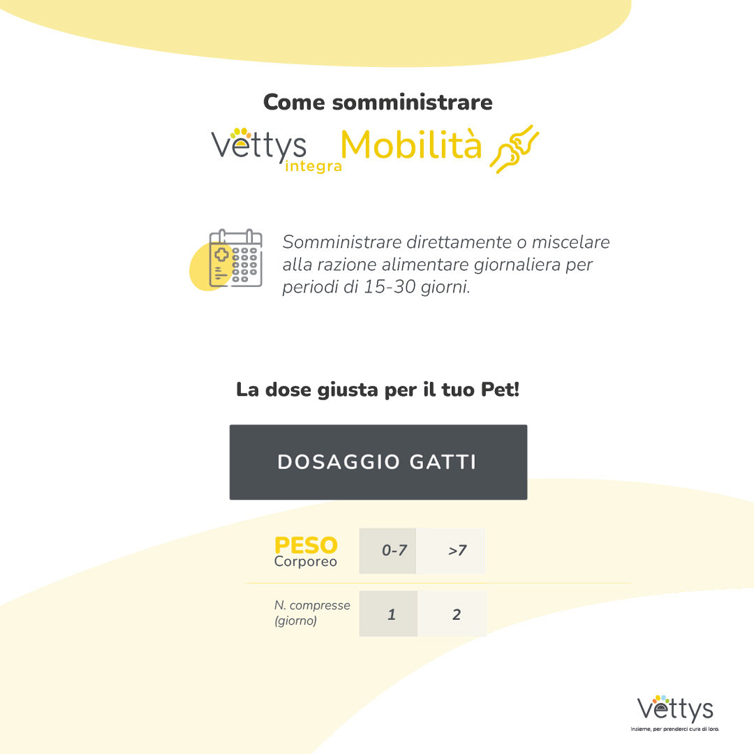VETTYS Integra Mobilita'Gatto VETTYS Integra Mobilita'Gatto