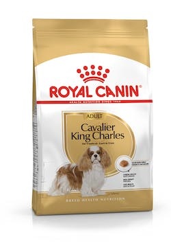 BHN CAVALIER KING CHAR AD1,5KG