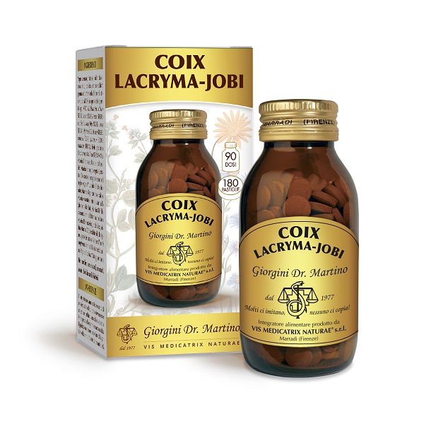 COIX Lacryma-Jobi 180Past. COIX Lacryma-Jobi 180Past.