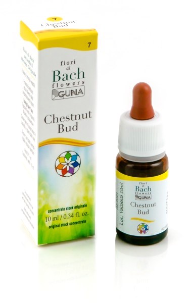 Guna Fiori Di Bach Chestnut Bud Apprendimento Gocce 10 Ml