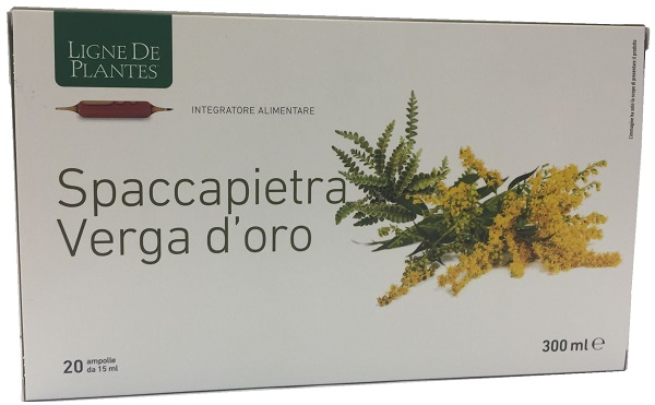 LIGNE SPACCAPIETRA VERGA 20AMP