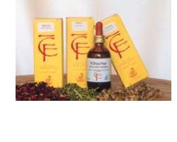 SANGUINELLO GEMME 100ML MG
