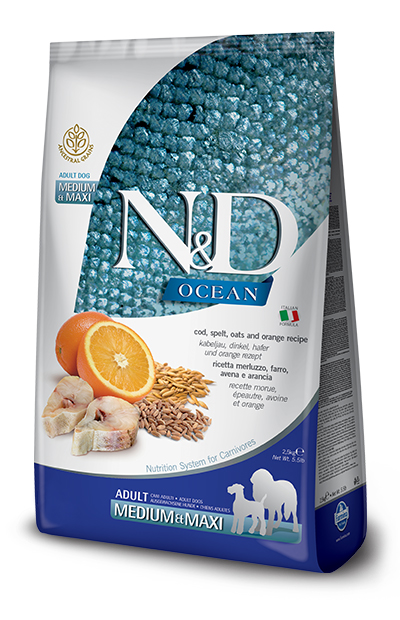 N&D OCEAN A DOG CO&OR AD ME/MA