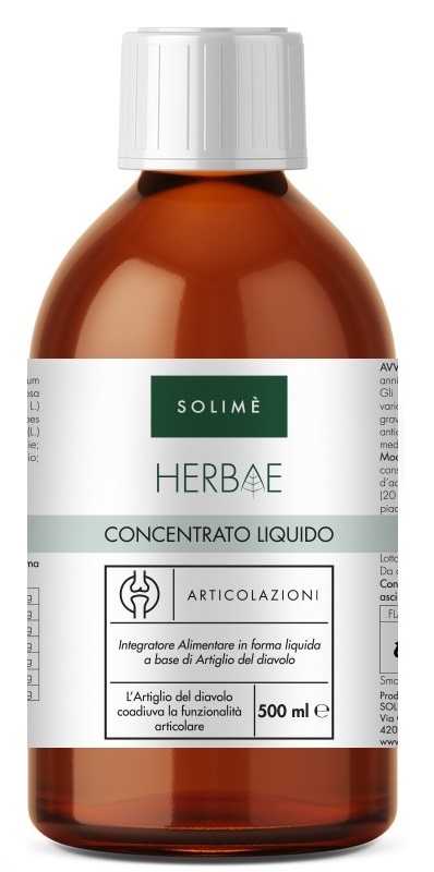 CONCENTRATO LIQUIDO ARTIC500ML