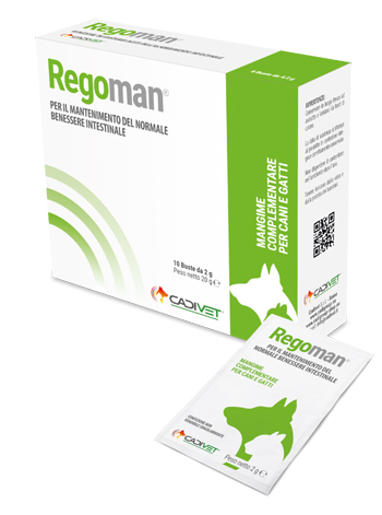 REGOMAN 10BUST REGOMAN 10BUST