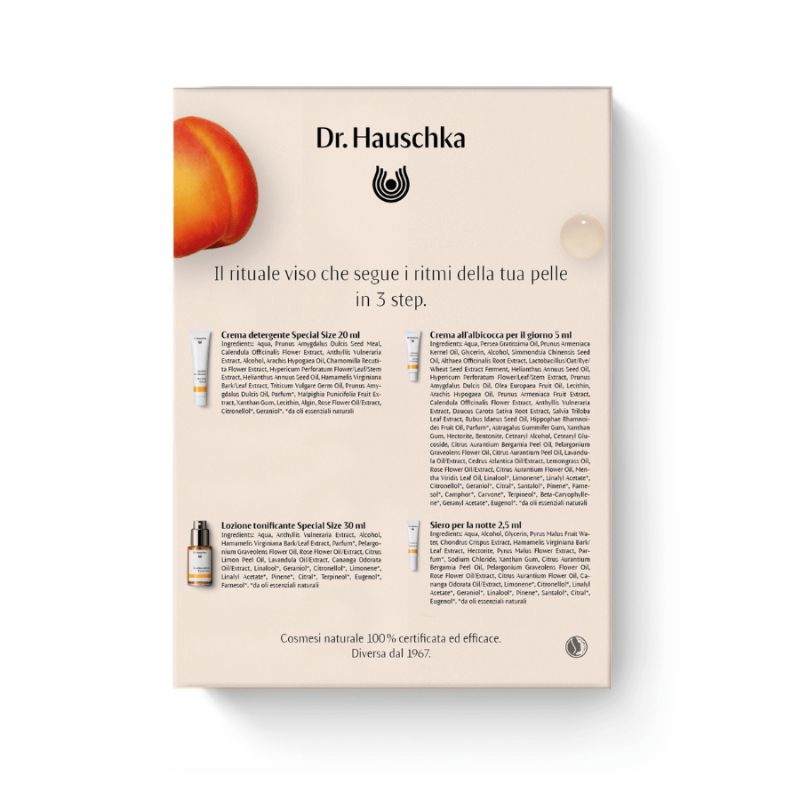 Dr Hauschka Discovery Kit Rituale Illuminante Set Viso Pelle Spenta 4 Pezzi