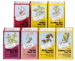 Floradix Salvia infuso 15 bustine