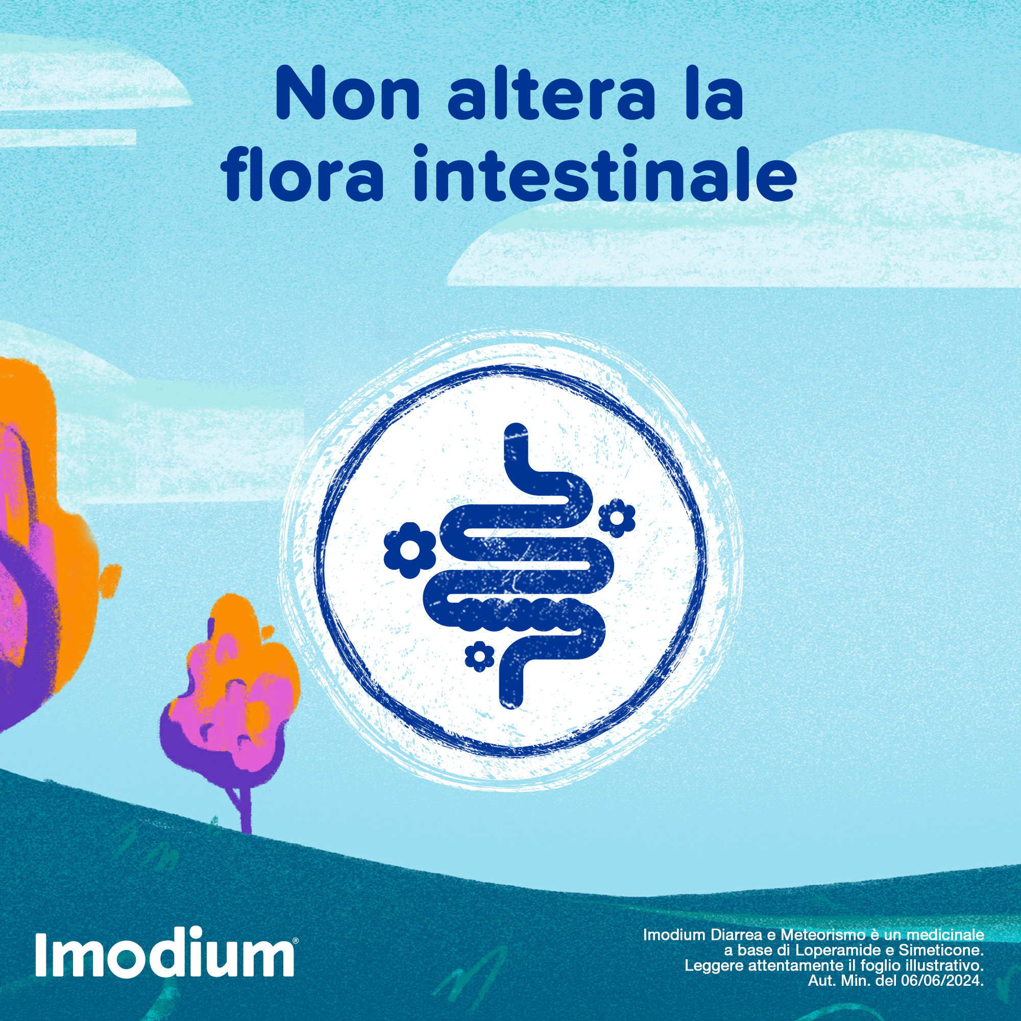 Imodium Diarrea e Meteorismo 12 Compresse