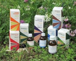 RAEMIL P1 EPILOBIO COMP 50ML