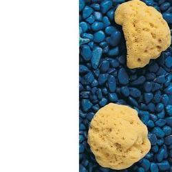 Farmacare Spugna Naturale 9-10 cm Fori Piccoli 11V