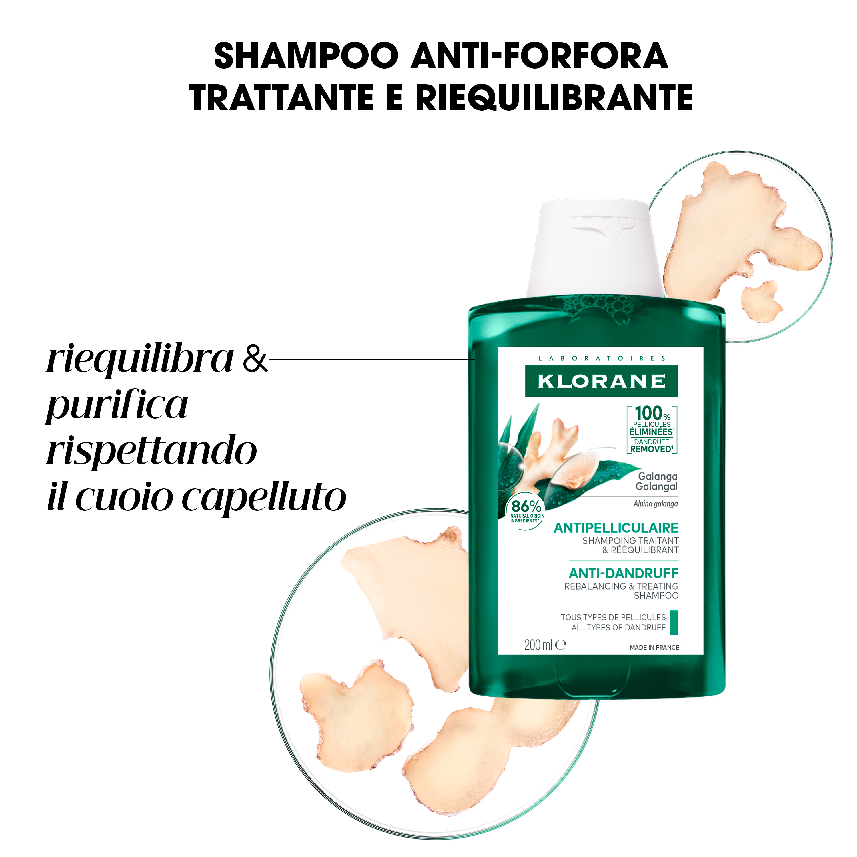 Klorane Anti-Forfora Shampoo trattante e riequilibrante alla Galanga, forfora secca e grassa, 200 ml