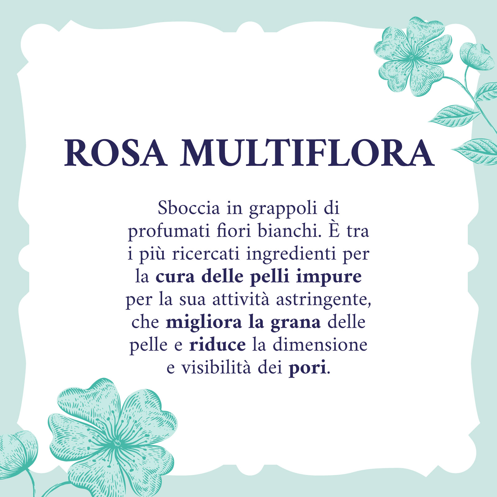 Acqua Alle Rose - Tonico Infuso Con Siero Purificante 150 ml