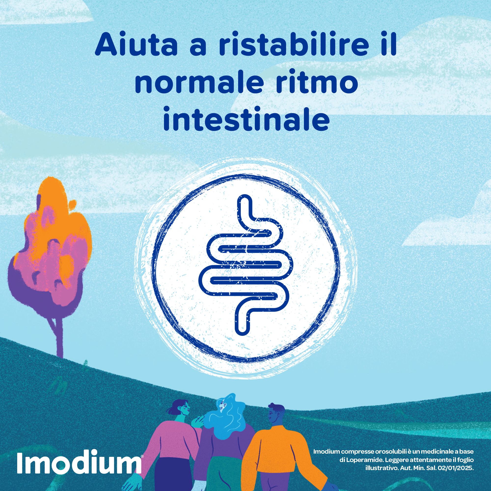Imodium Diarrea Acuta 12 Compresse Orosolubili Imodium Diarrea Acuta 12 Compresse Orosolubili