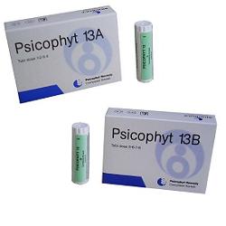Psicophyt Rmedy 13 B 4 Tubi di Globuli