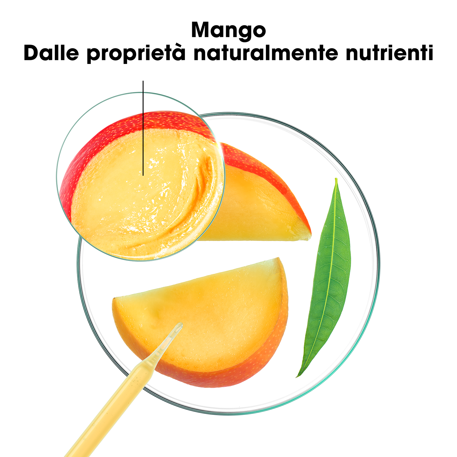 Klorane - Maschera Nutritiva Al Mango Per Capelli Secchi 250 ml