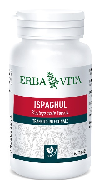 ISPAGUL 60 CAPSULE 500 MG