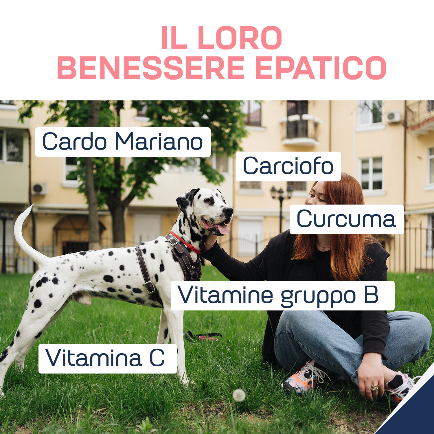 Suprapet fegapet 30 compresse