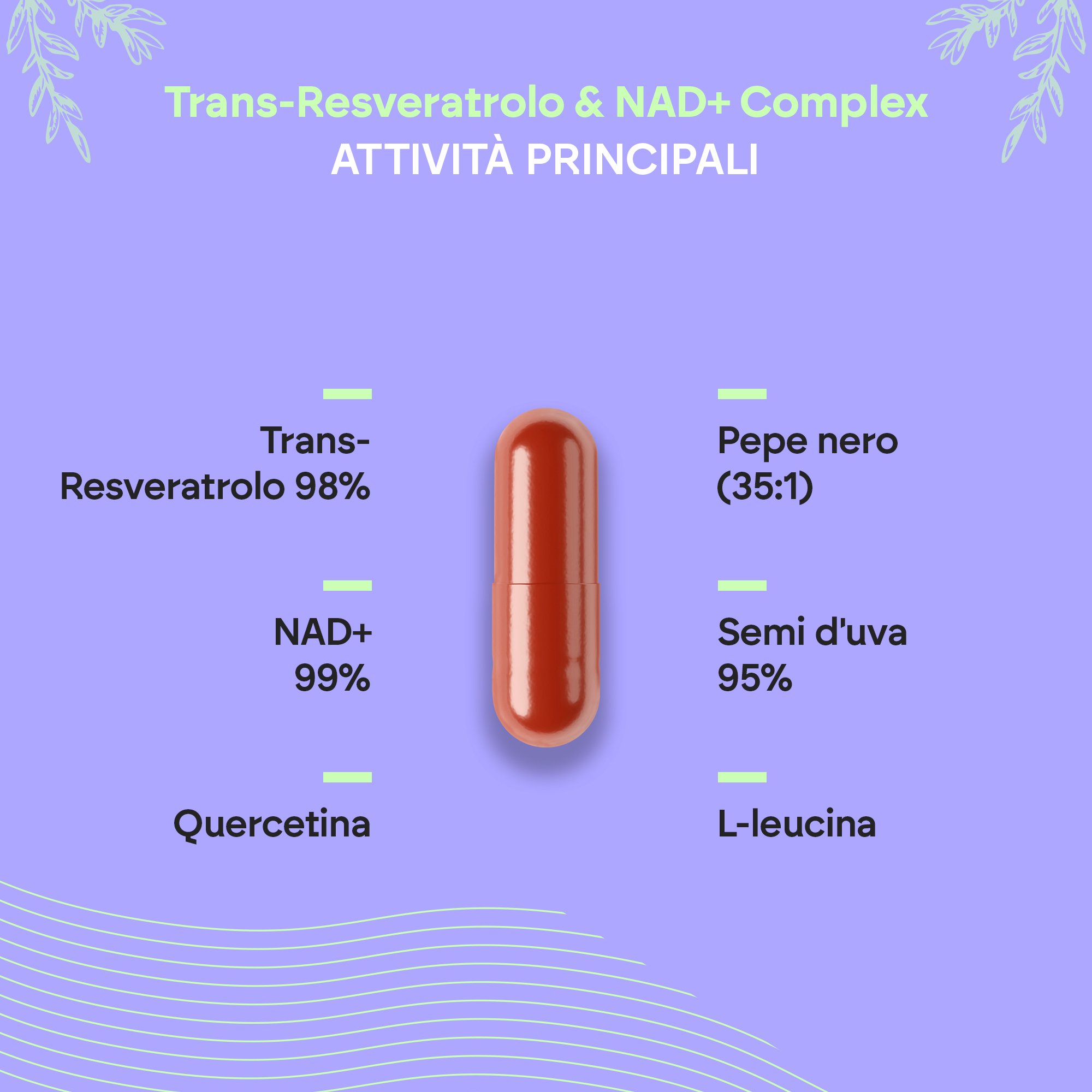 NUTRALIE TRANS RESVERATROL&NAD