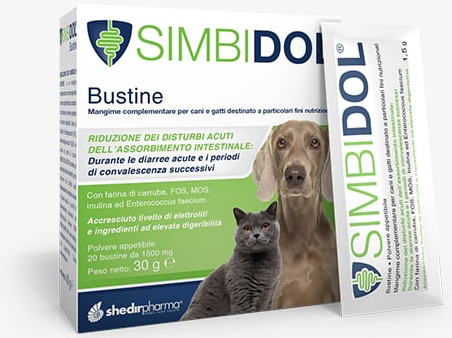 SIMBIDOL 20BUST SIMBIDOL 20BUST