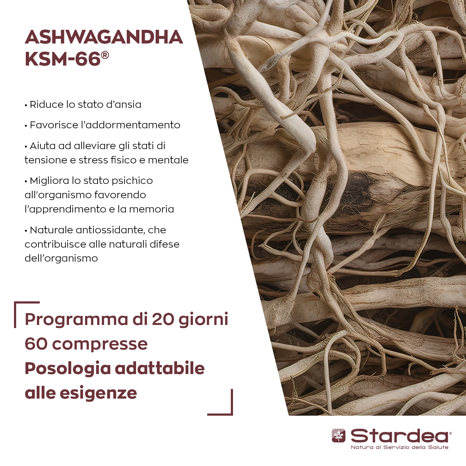 STARDEA ASHWAGANDHA - Compresse INTEGRATORE ALIMENTARE a base di Ashwagandha KSM-66® per il Benessere Fisico e Mentale STARDEA ASHWAGANDHA - Compresse INTEGRATORE ALIMENTARE a base di Ashwagandha KSM-66® per il Benessere Fisico e Mentale