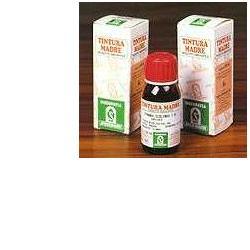 Specchiasol Camomilla Castano D'India 52 Tintura Madre 50 ml