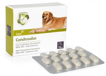 CONDROSALUS ORME NAT 60CPR