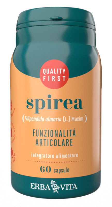 SPIREA 60 Cps 400mg        EBV