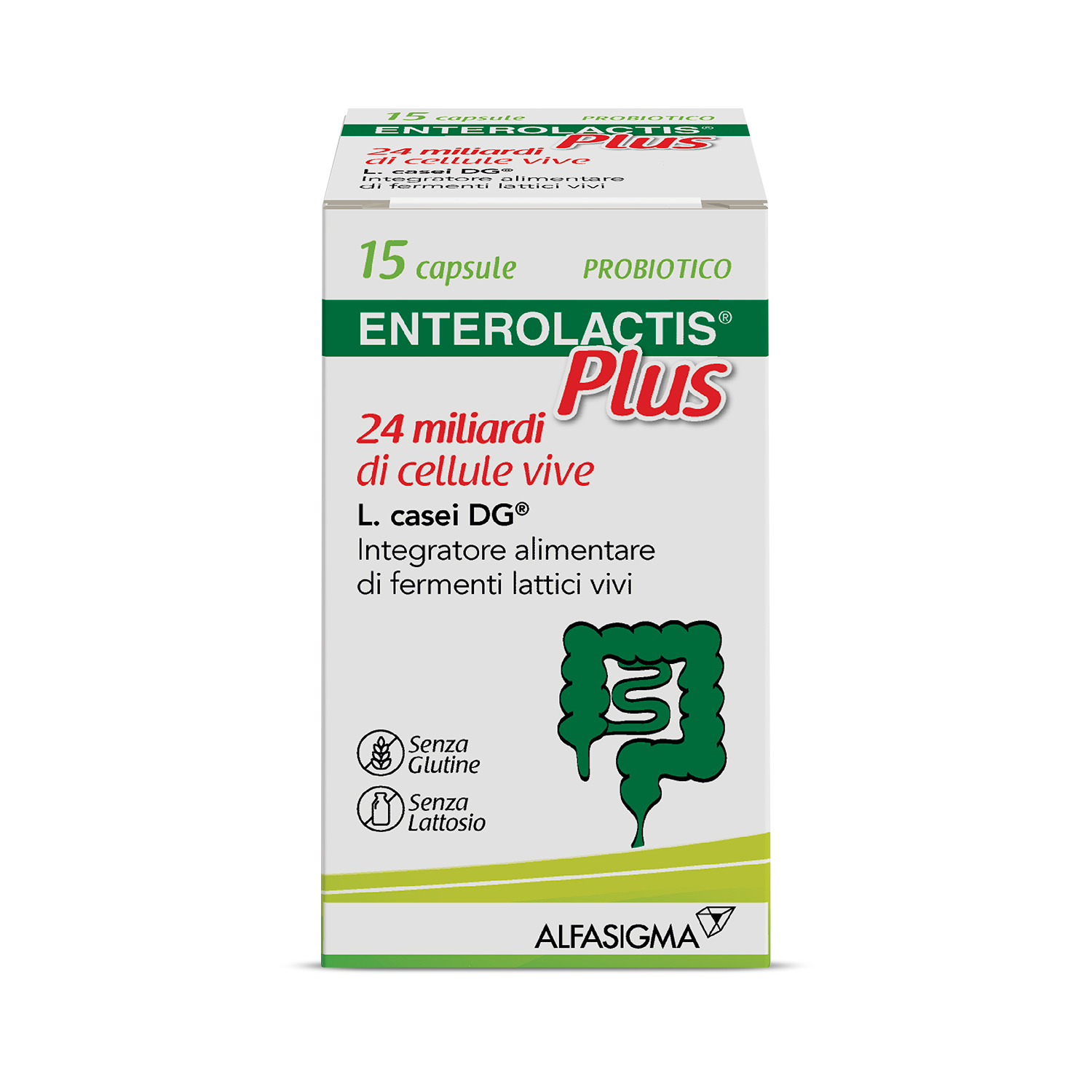 Enterolactis Plus Capsule, Integratore Alimentare con Fermenti lattici, probiotici L,Casei DG, 24 Miliardi Cellule Vive, Senza Glutine e Lattosio, 15 Capsule