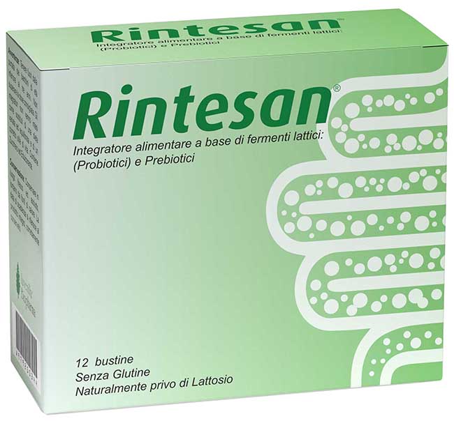 RINTESAN 12BUST RINTESAN 12BUST