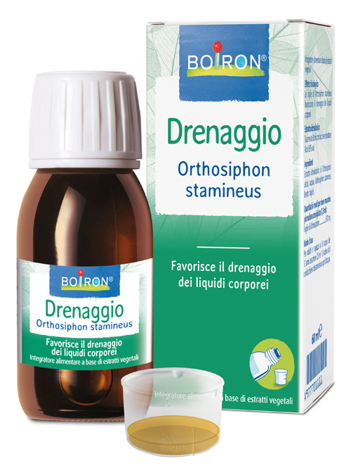 BO.ORTHOSIPHON EI  60ml