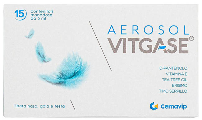 VITGASE AEROSOL 15F 25ML