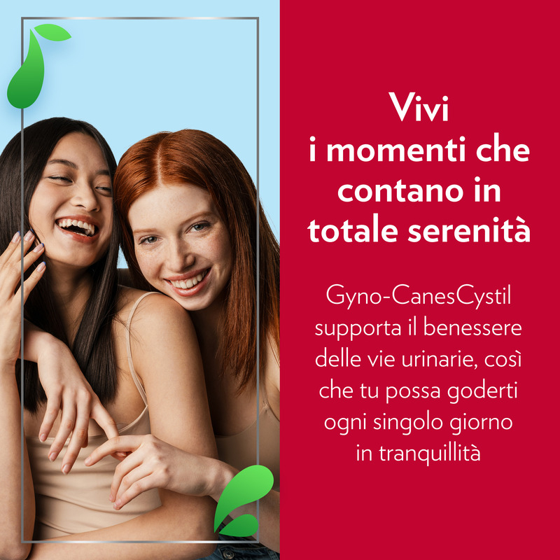 Gyno-CanesCystil Integratore Alto Dosaggio D-Mannosio per il Benessere Delle Vie Urinarie e Mantenimento della Flora Intestinale, gusto tè verde, gelsomino e agrumi, 14 bst Gyno-CanesCystil Integratore Alto Dosaggio D-Mannosio per il Benessere Delle Vie Urinarie e Mantenimento della Flora Intestinale, gusto tè verde, gelsomino e agrumi, 14 bst