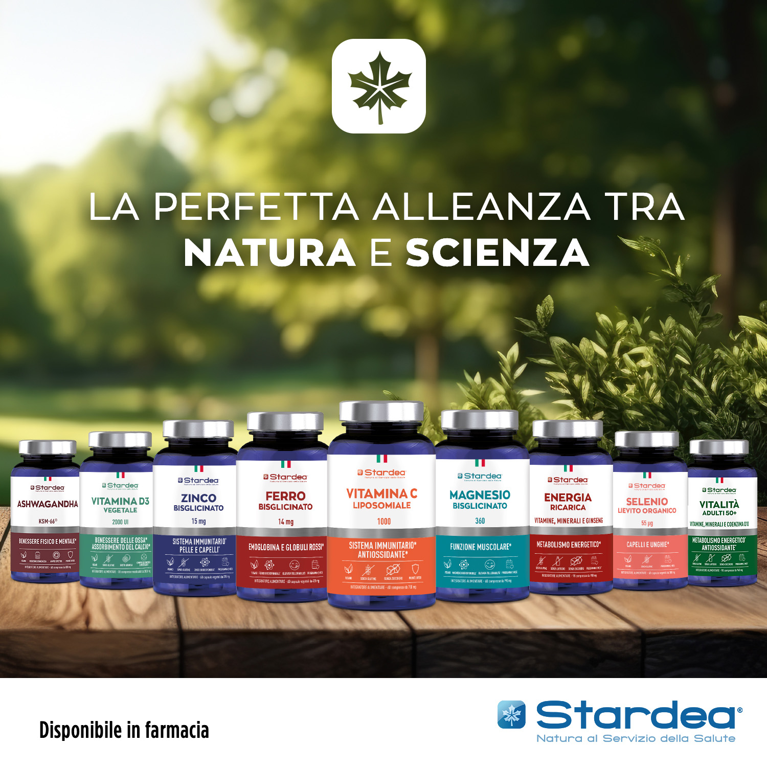 STARDEA VITALITA' Compresse - INTEGRATORE ALIMENTARE VITAMINE, MINERALI E COENZIMA Q10 STARDEA VITALITA' Compresse - INTEGRATORE ALIMENTARE VITAMINE, MINERALI E COENZIMA Q10