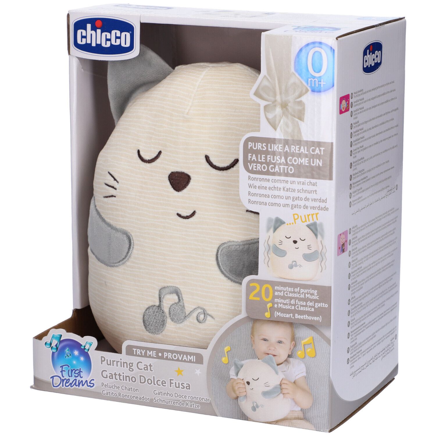 CH Gioco FD Purring Cat