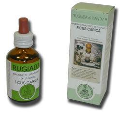 RUGIADA FICUS CARICA 50ML RUGIADA FICUS CARICA 50ML