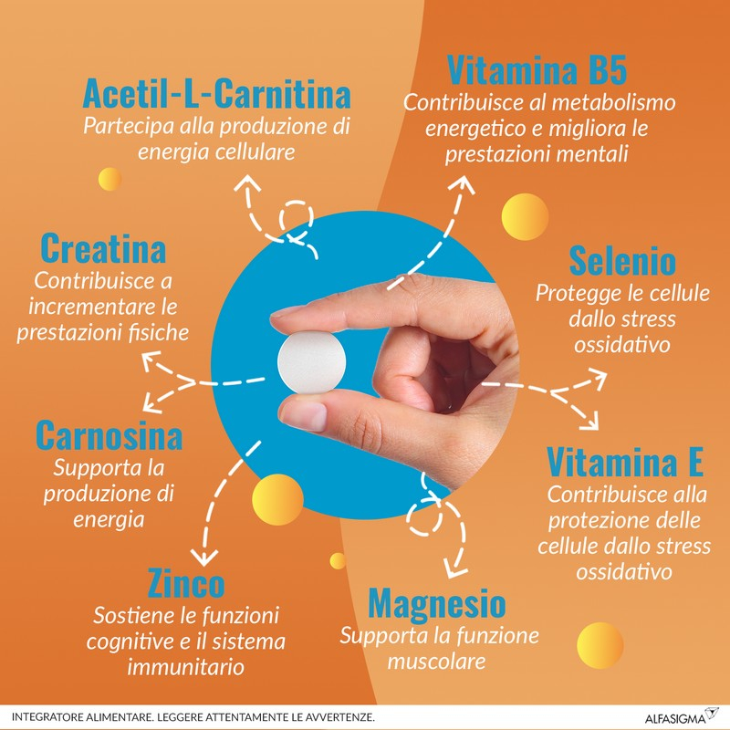 Carnidyn Plus Integratore Alimentare a base di Sali minerali, Carnitina, vitamine, per Stanchezza Mentale e Fisica, utile in caso di spossatezza, 18 Compresse Masticabili Senza Acqua da 3g, Gusto Agrumi Carnidyn Plus Integratore Alimentare a base di Sali minerali, Carnitina, vitamine, per Stanchezza Mentale e Fisica, utile in caso di spossatezza, 18 Compresse Masticabili Senza Acqua da 3g, Gusto Agrumi