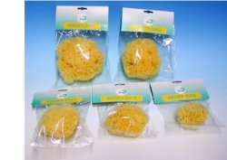 NATURA PURA SPUG NAT 12 BUST