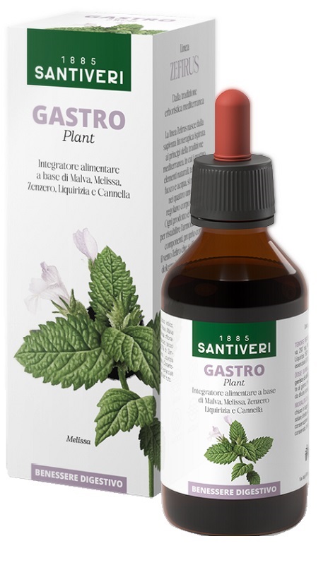 GASTRO PLANT ZEFIRUS 100ML
