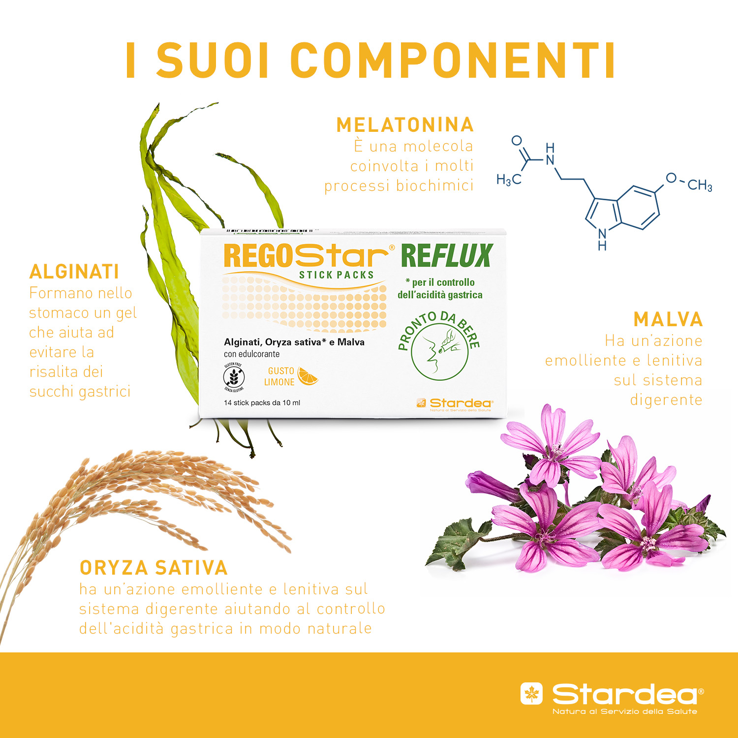 REGOSTAR Reflux 14 Bust.3,5g