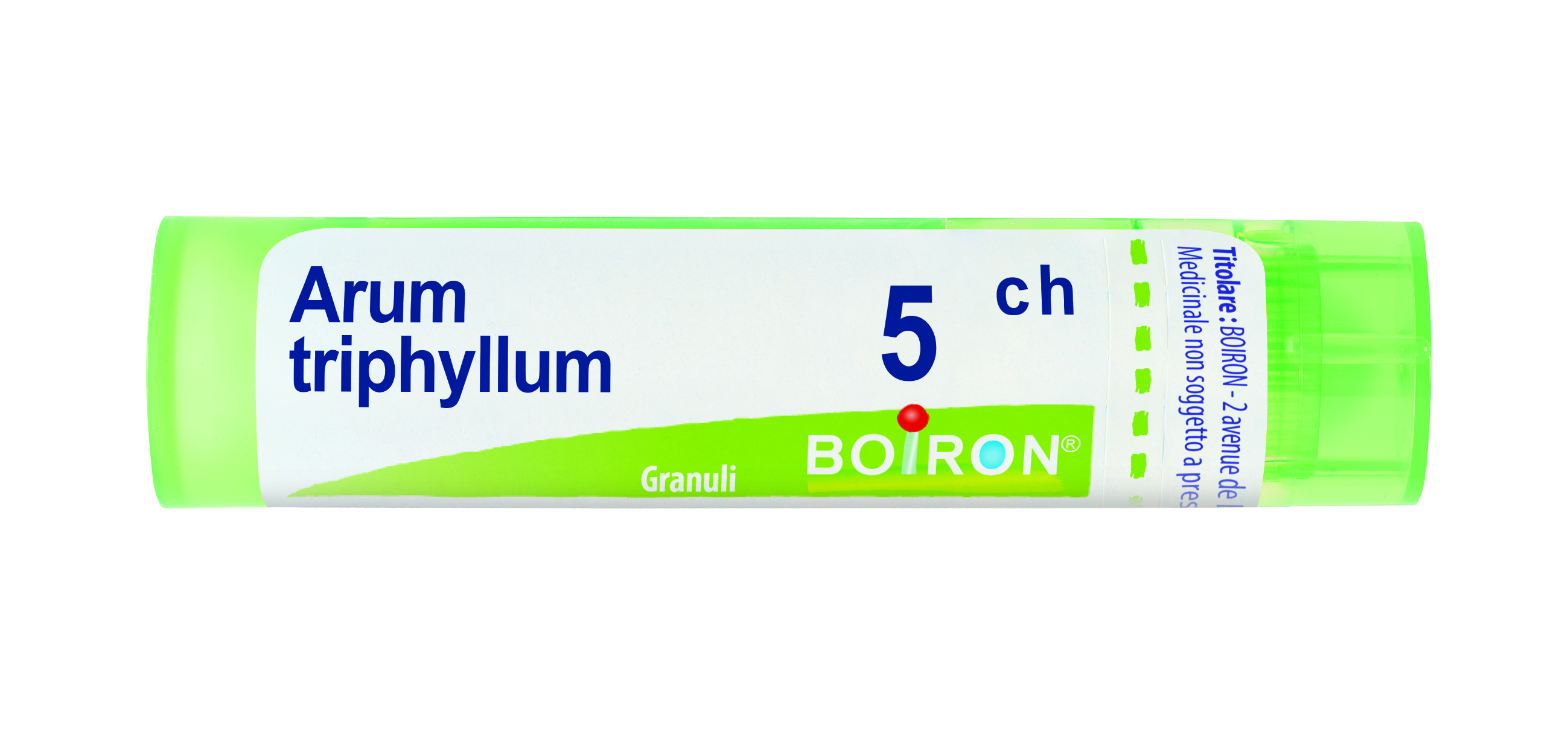 ARUM TRIPHYLLUM*5CH 80GR 4G