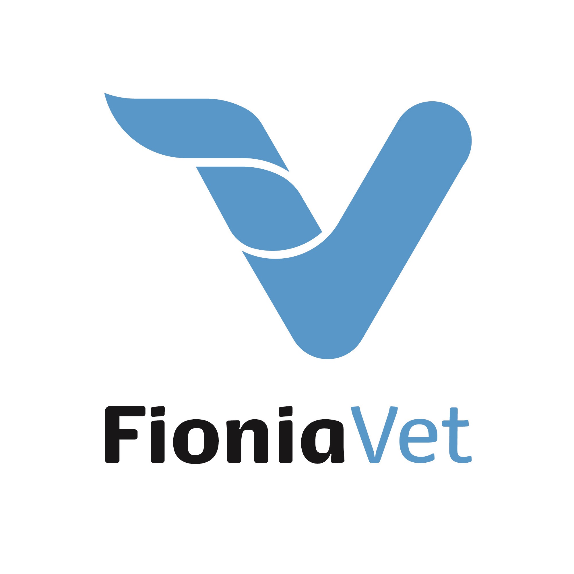 CATETERE/SONDA ALIMENTAZIONE CH06 2MM 40CM CAD. (REF. CLA3004/02) - FIONIAVET