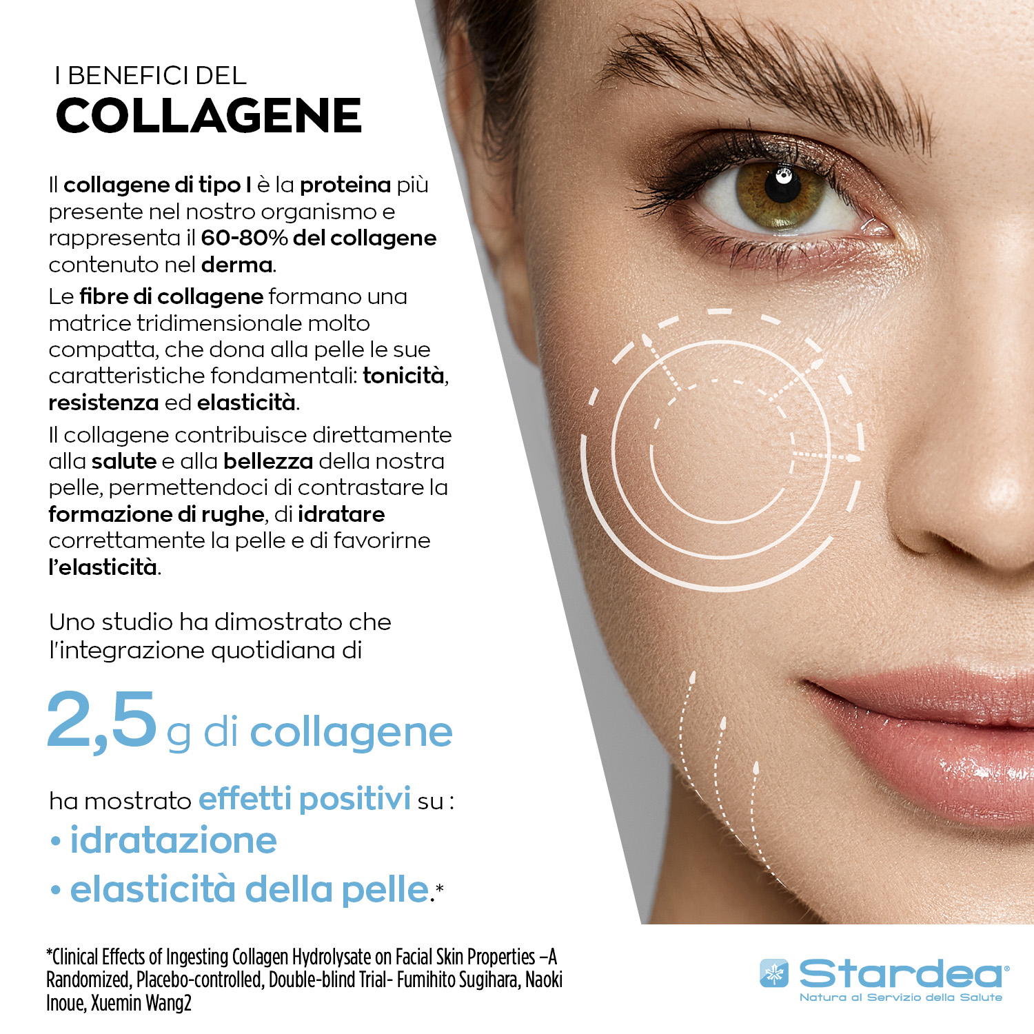INTEGRATORE ALIMENTARE - 60 compresse a base di COLLAGENE MARINO DI TIPO I e Zinco per la BELLEZZA DELLA PELLE, ELASTICITÀ INTEGRATORE ALIMENTARE - 60 compresse a base di COLLAGENE MARINO DI TIPO I e Zinco per la BELLEZZA DELLA PELLE, ELASTICITÀ