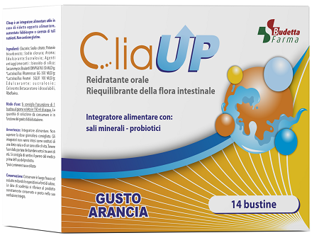 CLIAUP 14 Bust.