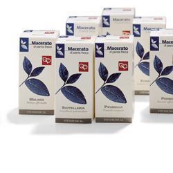 Fitomedical Macerato di Pianta Fresca Cardo Mariano benessere del fegato 100ml