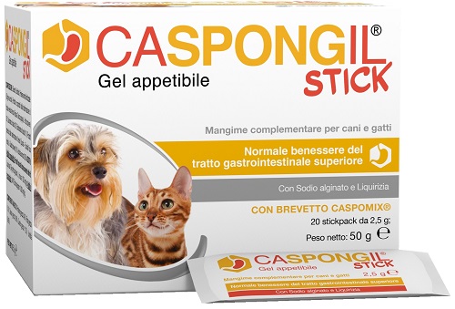 CASPONGIL STICK GEL 20STICKPAC CASPONGIL STICK GEL 20STICKPAC