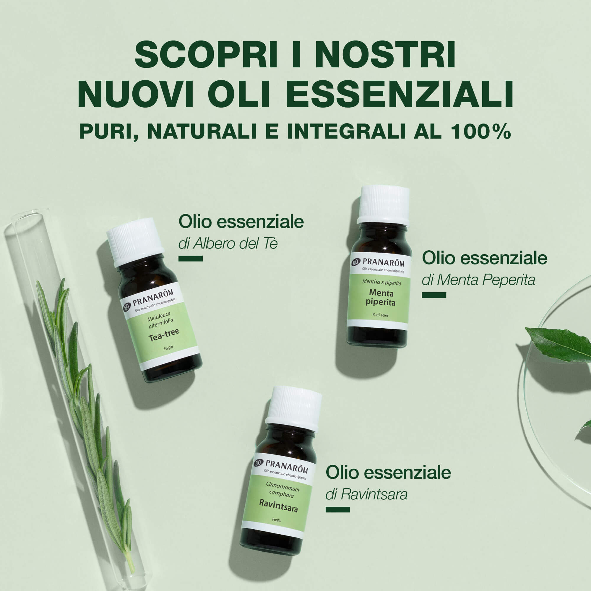 Pranarom - Olio Essenziale Di Ravintsara 10 ml