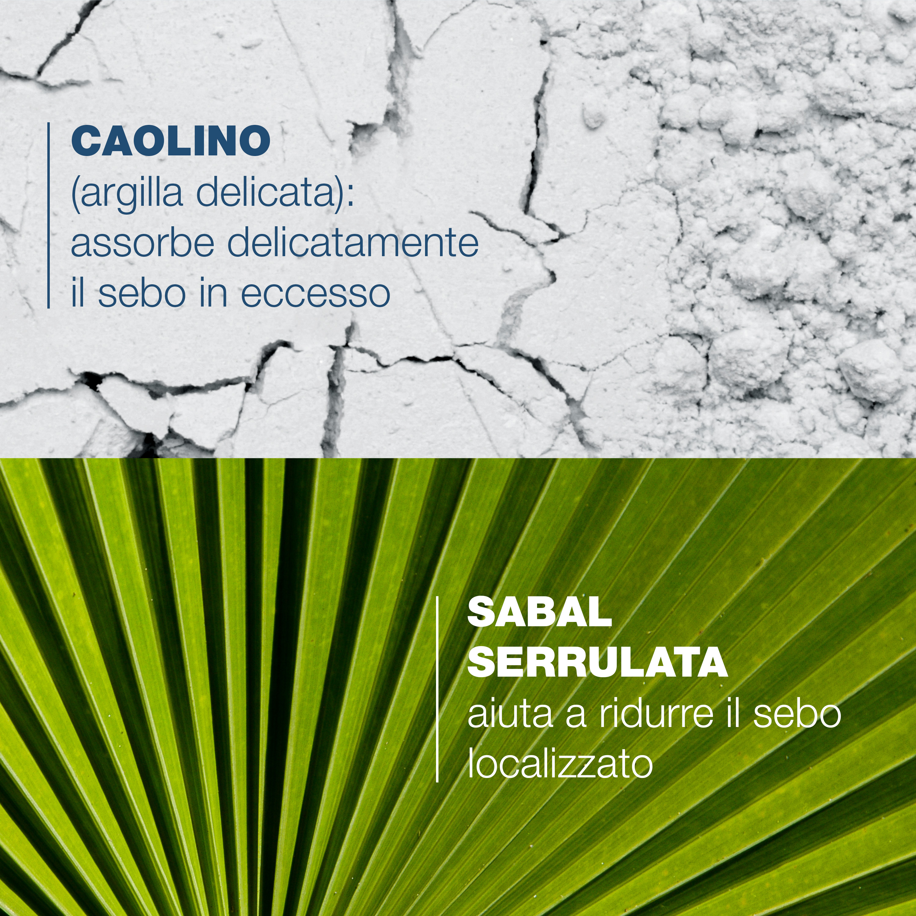 Ducray Sabal Argeal  Shampoo sebo-assorbente, detergente uso quotidiano 200ml